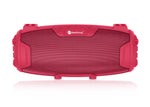 Portable Indoor Outdoor Entertainment Speaker With Microphone & Shoulder Strap